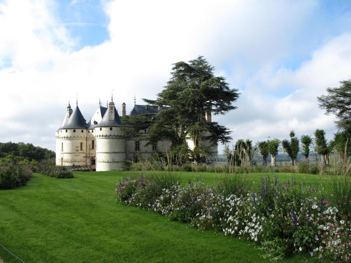 L'Auberge de la Caillère Candé-sur-Beuvron Esterno foto